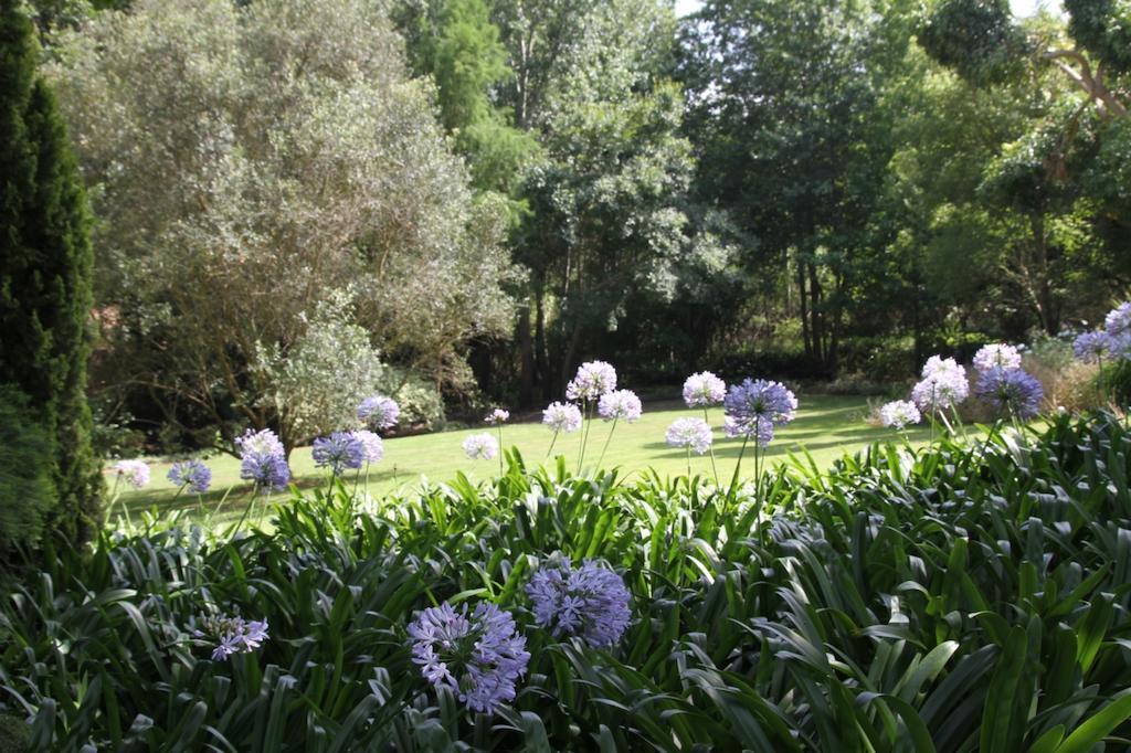 סטלנבוש Aan De Vliet Guest House מראה חיצוני תמונה
